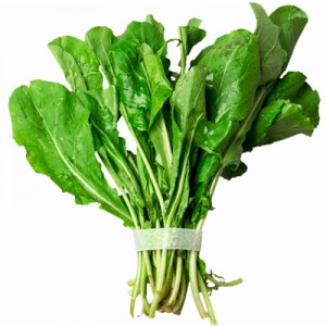 Rucula 